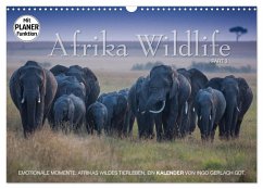 Emotionale Momente: Afrika Wildlife. Part 3. (Wandkalender 2024 DIN A3 quer), CALVENDO Monatskalender