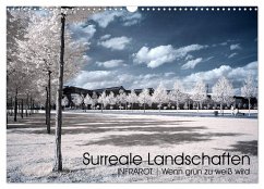 Surreale Landschaften. INFRARROT - Wenn grün zu weiß wird (Wandkalender 2024 DIN A3 quer), CALVENDO Monatskalender