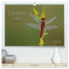 Libellen im Ried (hochwertiger Premium Wandkalender 2024 DIN A2 quer), Kunstdruck in Hochglanz