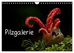 Pilzgalerie (Wandkalender 2024 DIN A4 quer), CALVENDO Monatskalender - Wurster, Beate