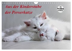 Aus der Kinderstube der Perserkatze (Wandkalender 2024 DIN A4 quer), CALVENDO Monatskalender - Klatt, Arno