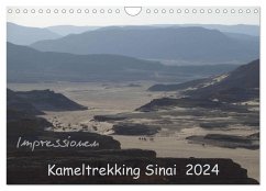 Impressionen Kameltrekking Sinai 2024 (Wandkalender 2024 DIN A4 quer), CALVENDO Monatskalender