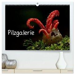 Pilzgalerie (hochwertiger Premium Wandkalender 2024 DIN A2 quer), Kunstdruck in Hochglanz - Wurster, Beate