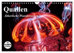 Quallen. Ätherische Wunderwesen (Wandkalender 2024 DIN A4 quer), CALVENDO Monatskalender - Stanzer, Elisabeth