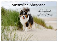 Australian Shepherd - Lebensfreude auf vier Pfoten (Wandkalender 2024 DIN A2 quer), CALVENDO Monatskalender