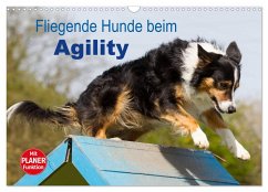 Fliegende Hunde beim Agility (Wandkalender 2024 DIN A3 quer), CALVENDO Monatskalender