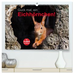 Guck mal, ein Eichhörnchen! (hochwertiger Premium Wandkalender 2024 DIN A2 quer), Kunstdruck in Hochglanz