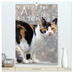 KATZEN AUGEN BLICKE (hochwertiger Premium Wandkalender 2024 DIN A2 hoch), Kunstdruck in Hochglanz