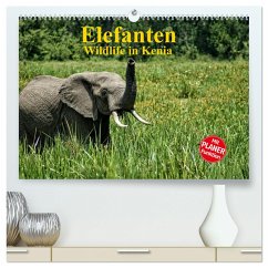 Elefanten . Wildlife in Kenia (hochwertiger Premium Wandkalender 2024 DIN A2 quer), Kunstdruck in Hochglanz - Michel, Susan