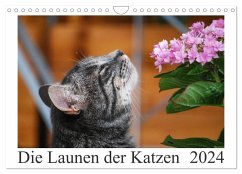 Die Launen der Katzen 2024 (Wandkalender 2024 DIN A4 quer), CALVENDO Monatskalender