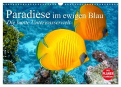 Paradiese im ewigen Blau. Die bunte Unterwasserwelt (Wandkalender 2024 DIN A3 quer), CALVENDO Monatskalender