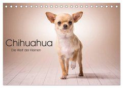Chihuahua - Die Welt der Kleinen (Tischkalender 2024 DIN A5 quer), CALVENDO Monatskalender - Schuberts-Fotografie