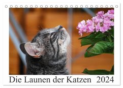 Die Launen der Katzen 2024 (Tischkalender 2024 DIN A5 quer), CALVENDO Monatskalender