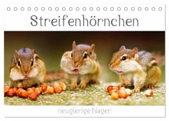 Streifenhörnchen - neugierige Nager (Tischkalender 2024 DIN A5 quer), CALVENDO Monatskalender - Mosert, Stefan