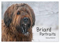 Briard Portraits (Tischkalender 2024 DIN A5 quer), CALVENDO Monatskalender