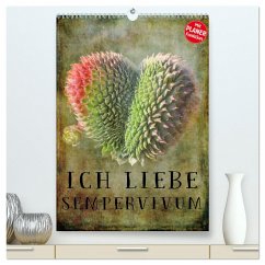 Ich liebe Sempervivum (hochwertiger Premium Wandkalender 2024 DIN A2 hoch), Kunstdruck in Hochglanz - Cross, Martina