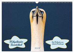 Helgoländer Basstölpel 2024 (Wandkalender 2024 DIN A3 quer), CALVENDO Monatskalender