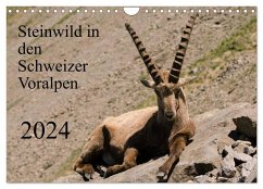Steinwild in den Schweizer Voralpen (Wandkalender 2024 DIN A4 quer), CALVENDO Monatskalender