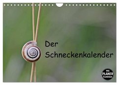 Der Schneckenkalender (Wandkalender 2024 DIN A4 quer), CALVENDO Monatskalender - Schmutzler-Schaub, Christine