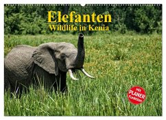 Elefanten . Wildlife in Kenia (Wandkalender 2024 DIN A2 quer), CALVENDO Monatskalender