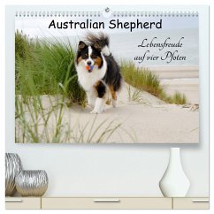 Australian Shepherd - Lebensfreude auf vier Pfoten (hochwertiger Premium Wandkalender 2024 DIN A2 quer), Kunstdruck in Hochglanz