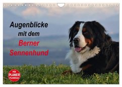 Augenblicke mit dem Berner Sennenhund (Wandkalender 2024 DIN A4 quer), CALVENDO Monatskalender - Hunscheidt, Hubert