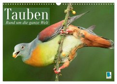 Tauben rund um die ganze Welt (Wandkalender 2024 DIN A3 quer), CALVENDO Monatskalender
