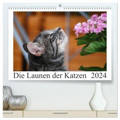 Die Launen der Katzen 2024 (hochwertiger Premium Wandkalender 2024 DIN A2 quer), Kunstdruck in Hochglanz