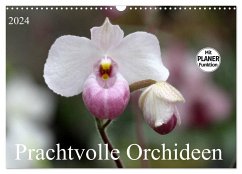 Prachtvolle Orchideen (Wandkalender 2024 DIN A3 quer), CALVENDO Monatskalender