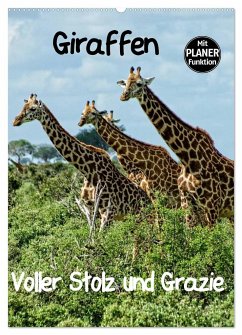 Giraffen. Voller Stolz und Grazie (Wandkalender 2024 DIN A2 hoch), CALVENDO Monatskalender