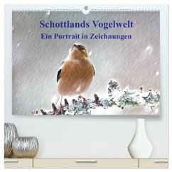 Schottlands Vogelwelt - Ein Porträt in Zeichnungen (hochwertiger Premium Wandkalender 2024 DIN A2 quer), Kunstdruck in Hochglanz - Küster, Friederike