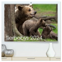 Tierbabys 2024 (hochwertiger Premium Wandkalender 2024 DIN A2 quer), Kunstdruck in Hochglanz - Schörkhuber, Johann