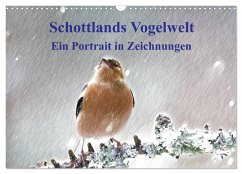 Schottlands Vogelwelt - Ein Porträt in Zeichnungen (Wandkalender 2024 DIN A3 quer), CALVENDO Monatskalender