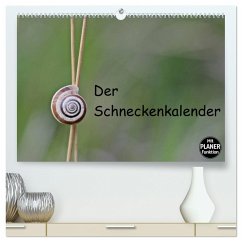 Der Schneckenkalender (hochwertiger Premium Wandkalender 2024 DIN A2 quer), Kunstdruck in Hochglanz