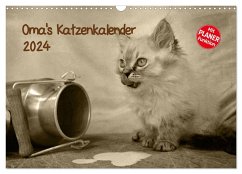 Oma's Katzenkalender 2024 (Wandkalender 2024 DIN A3 quer), CALVENDO Monatskalender - Säume, Sylvia