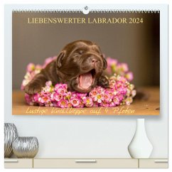 Liebenswerter Labrador 2024 (hochwertiger Premium Wandkalender 2024 DIN A2 quer), Kunstdruck in Hochglanz