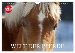 Welt der Pferde (Wandkalender 2024 DIN A4 quer), CALVENDO Monatskalender