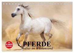 Pferde. Araber im Wüstensand (Tischkalender 2024 DIN A5 quer), CALVENDO Monatskalender