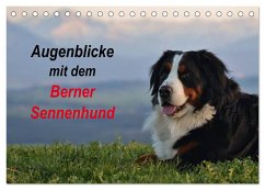 Augenblicke mit dem Berner Sennenhund (Tischkalender 2024 DIN A5 quer), CALVENDO Monatskalender