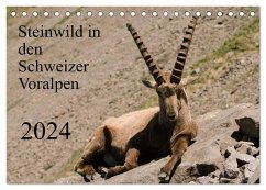 Steinwild in den Schweizer Voralpen (Tischkalender 2024 DIN A5 quer), CALVENDO Monatskalender