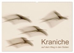 Kraniche auf dem Weg nach Süden (Wandkalender 2024 DIN A2 quer), CALVENDO Monatskalender