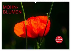 Mohnblumen (Wandkalender 2024 DIN A2 quer), CALVENDO Monatskalender