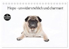 Mops - unwiderstehlich und charmant (Tischkalender 2024 DIN A5 quer), CALVENDO Monatskalender