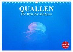 Quallen. Die Welt der Medusen (Wandkalender 2024 DIN A3 quer), CALVENDO Monatskalender