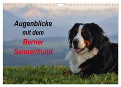 Augenblicke mit dem Berner Sennenhund (Wandkalender 2024 DIN A4 quer), CALVENDO Monatskalender - Hunscheidt, Hubert
