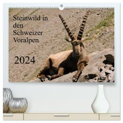 Steinwild in den Schweizer Voralpen (hochwertiger Premium Wandkalender 2024 DIN A2 quer), Kunstdruck in Hochglanz