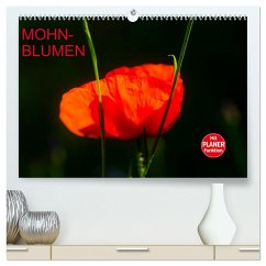 Mohnblumen (hochwertiger Premium Wandkalender 2024 DIN A2 quer), Kunstdruck in Hochglanz