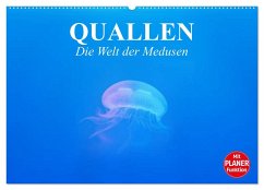 Quallen. Die Welt der Medusen (Wandkalender 2024 DIN A2 quer), CALVENDO Monatskalender