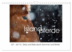 Islandpferde - Stolz und Stark durch Sommer und Winter (Wandkalender 2024 DIN A4 quer), CALVENDO Monatskalender