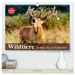 Wildtiere. Heimische Schönheiten (hochwertiger Premium Wandkalender 2024 DIN A2 quer), Kunstdruck in Hochglanz